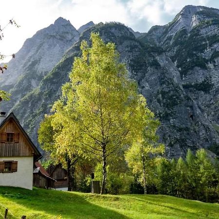 Cottages Kravanja เทรนตา ภายนอก รูปภาพ