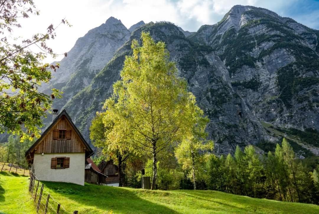 Cottages Kravanja เทรนตา ภายนอก รูปภาพ